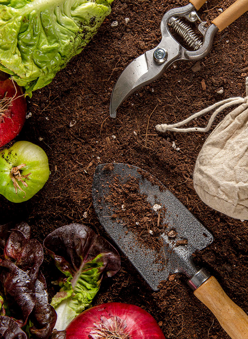 productos-3-nutricion